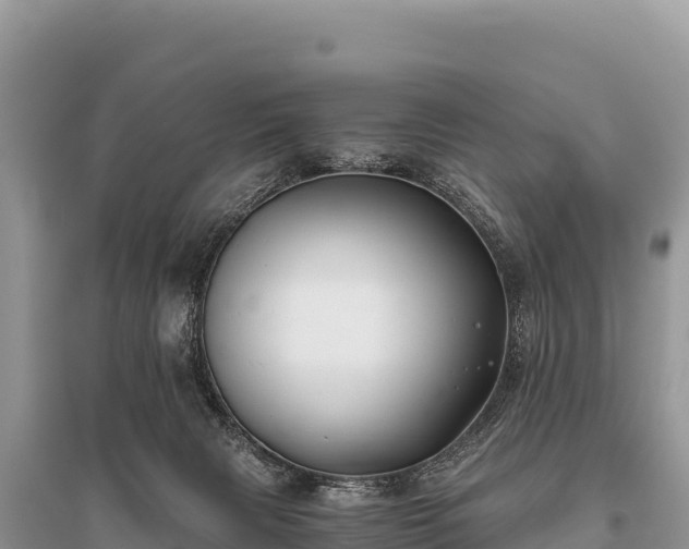 X0000096180079200801251226