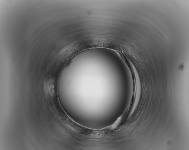 X0000096180080200801251226
