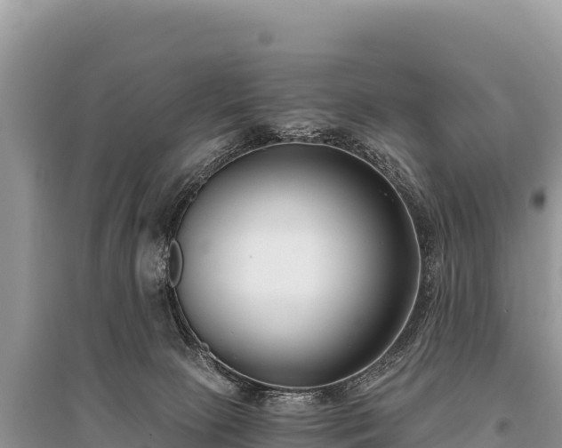 X0000096180081200801251226