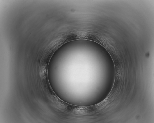 X0000096180082200801251226
