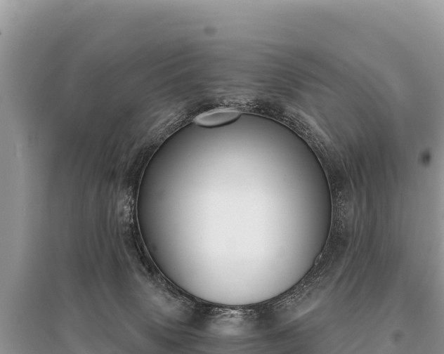 X0000096180083200801251226