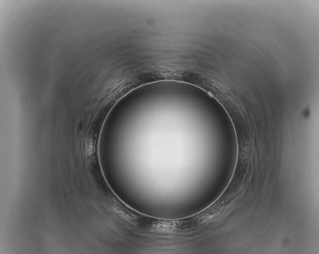X0000096180084200801251226