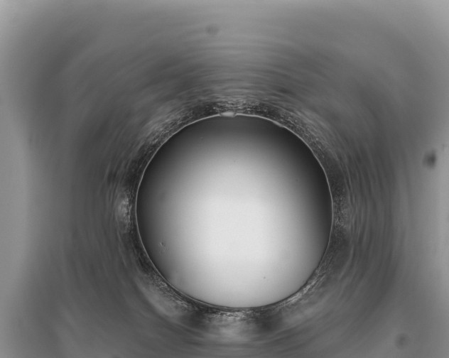 X0000096180086200801251226