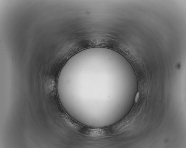 X0000096180087200801251226