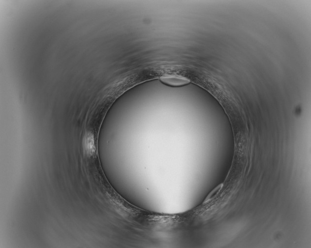 X0000096180089200801251226