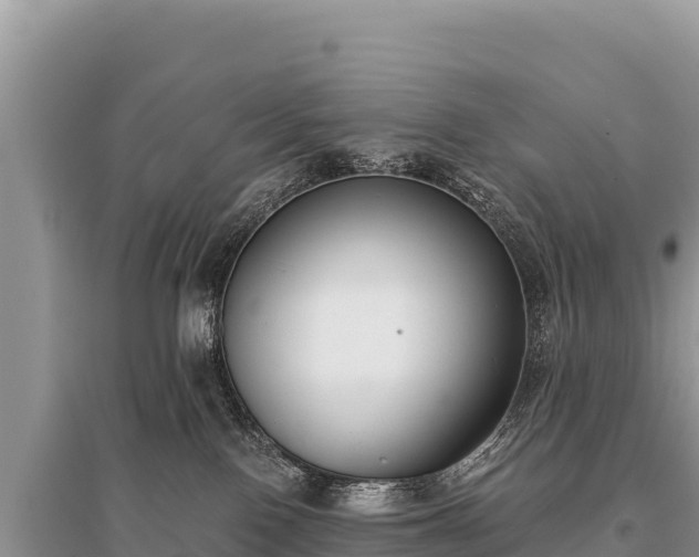X0000096180090200801251226