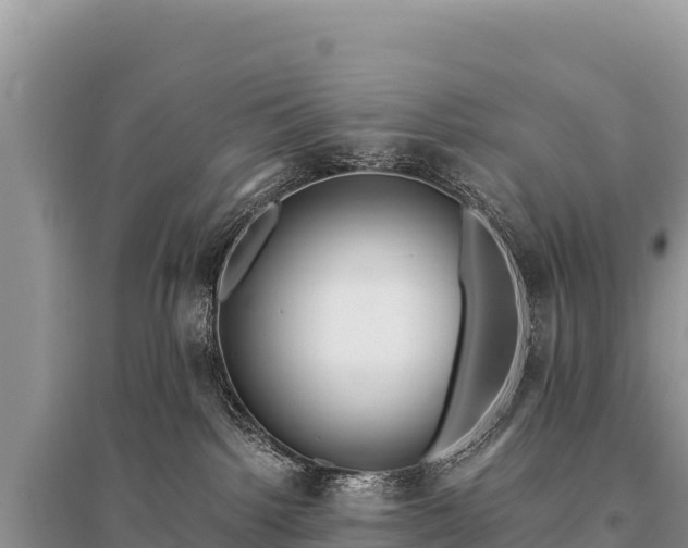 X0000096180092200801251226
