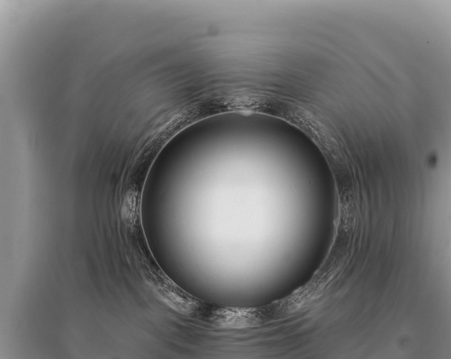 X0000096180093200801251226