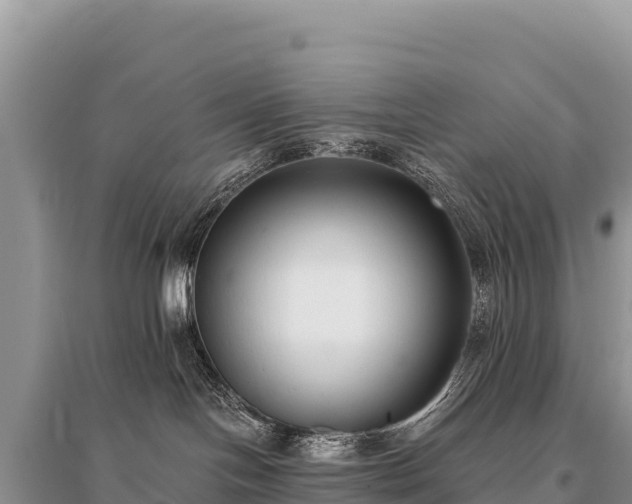 X0000096180094200801251226