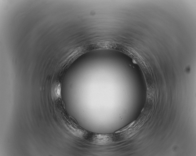 X0000096180095200801251226