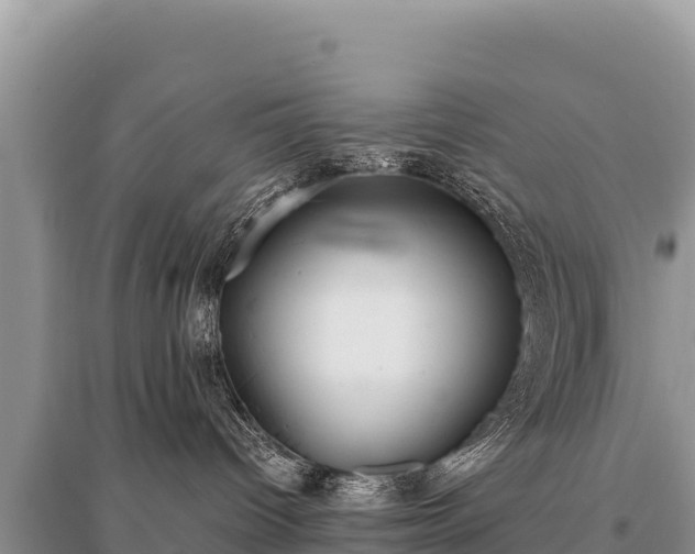 X0000096180096200801251226