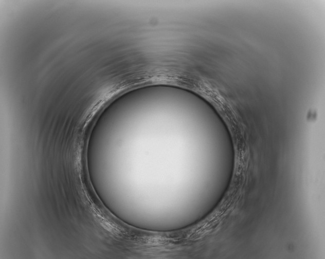 X0000096180098200801251226