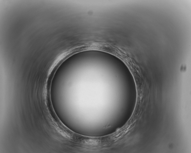 X0000096180102200801251226