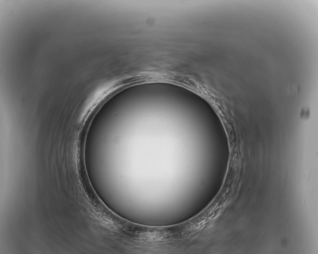 X0000096180103200801251226