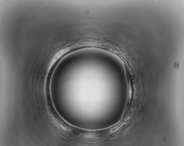 X0000096180104200801251226