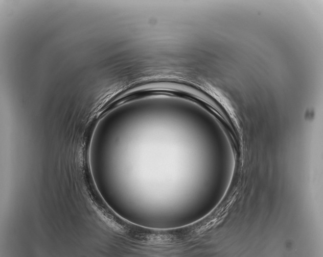 X0000096180105200801251225