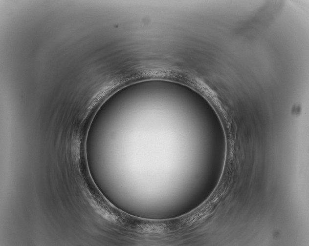 X0000096180106200801251225