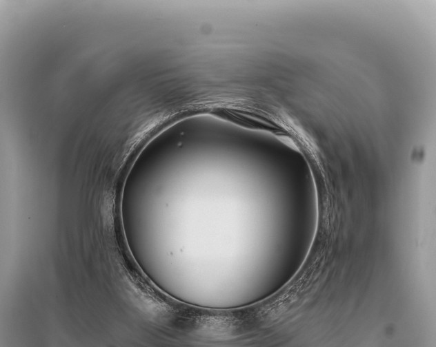 X0000096180107200801251225