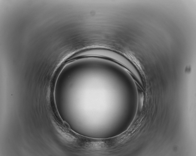 X0000096180108200801251225