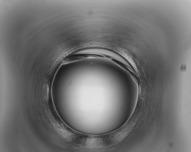 X0000096180109200801251225