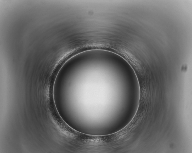 X0000096180112200801251225