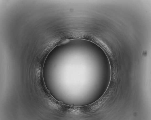 X0000096180113200801251225