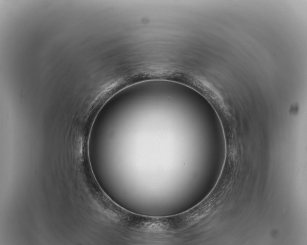 X0000096180115200801251225