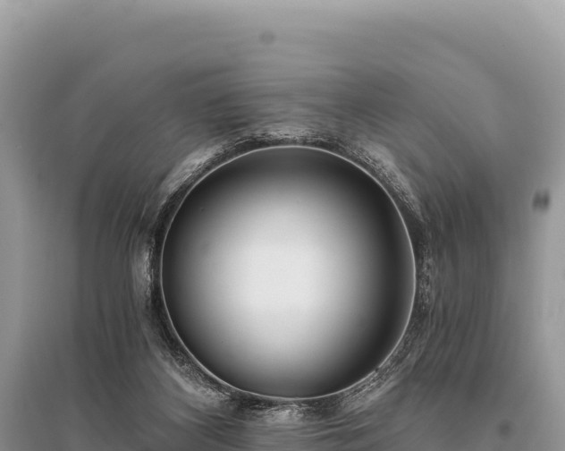 X0000096180116200801251225