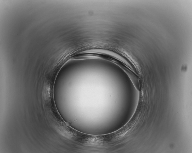 X0000096180117200801251225