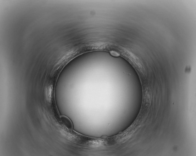 X0000096180118200801251225