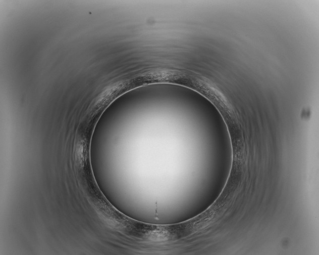X0000096180119200801251225