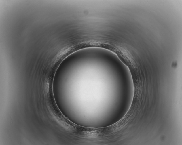 X0000096180120200801251225