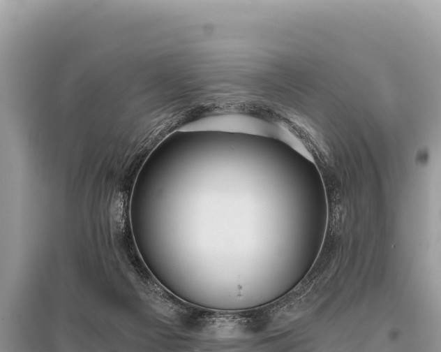 X0000096180121200801251225