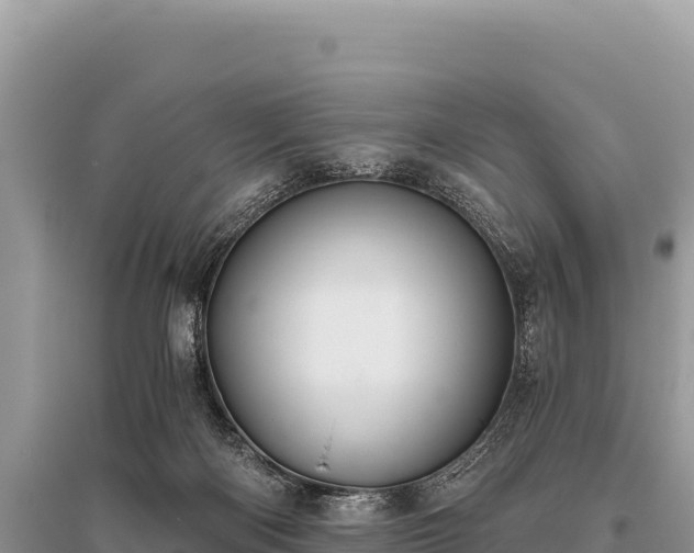 X0000096180122200801251225
