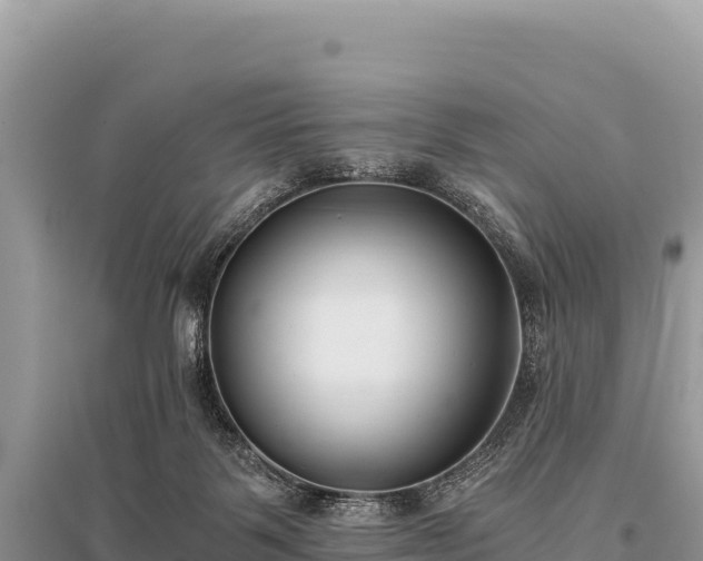 X0000096180123200801251225