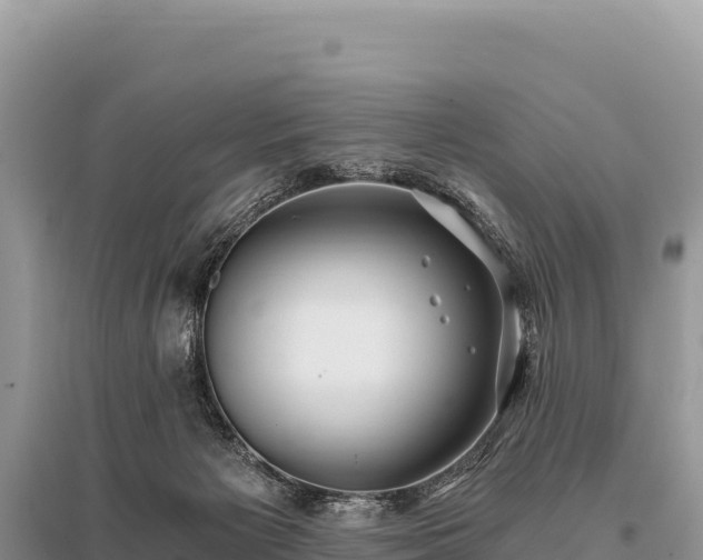 X0000096180125200801251225
