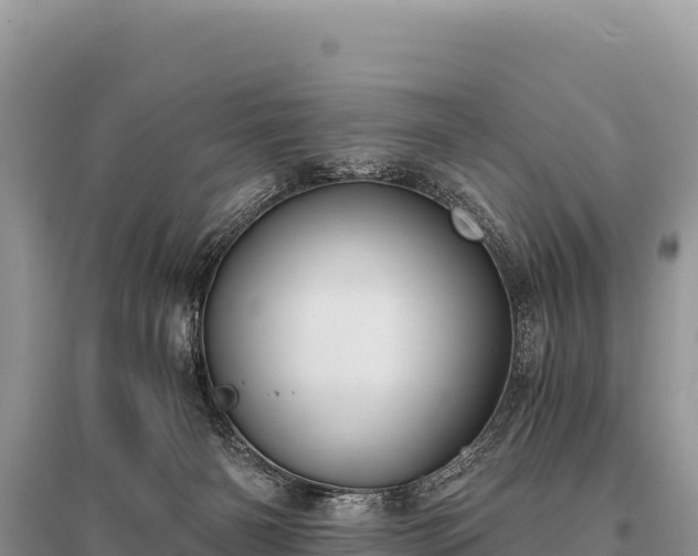X0000096180126200801251225