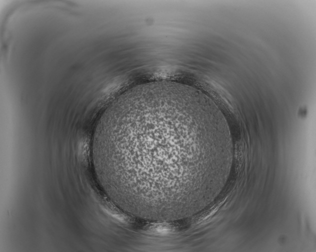 X0000096180127200801251225
