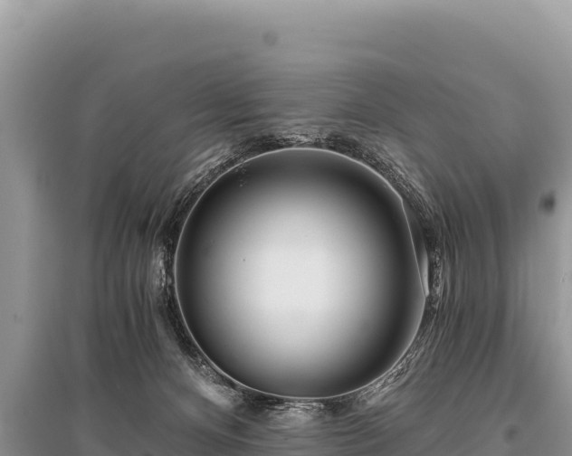 X0000096180128200801251225