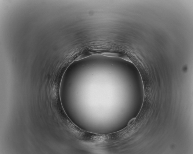X0000096180131200801251225
