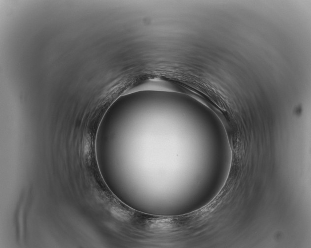 X0000096180132200801251225