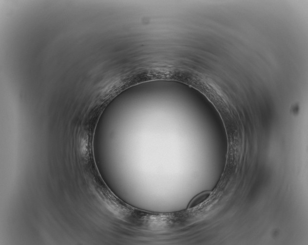 X0000096180134200801251225