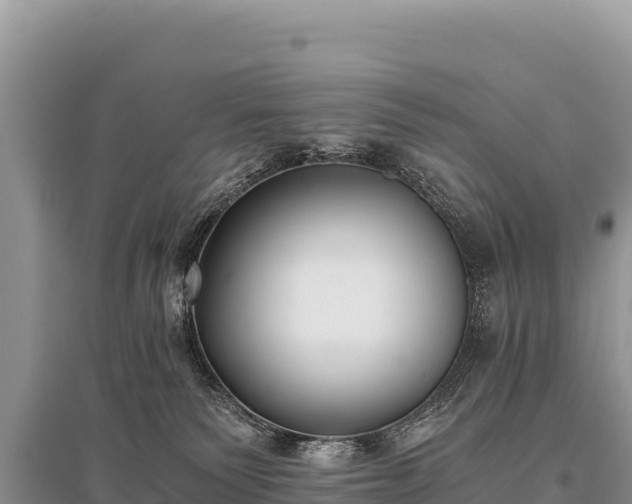 X0000096180135200801251225