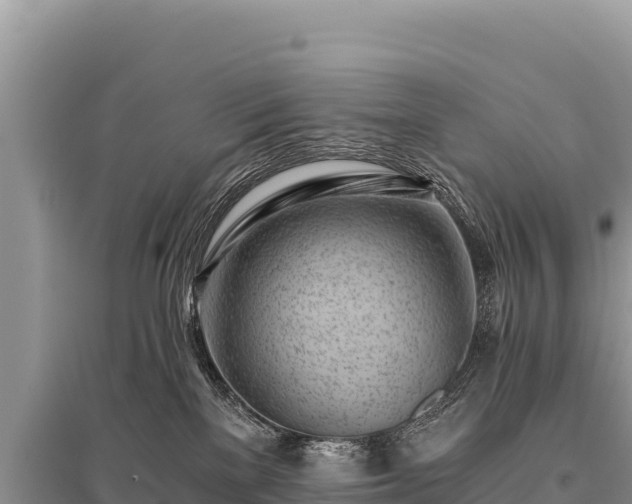 X0000096180137200801251225
