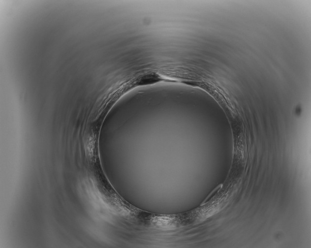 X0000096180139200801251225