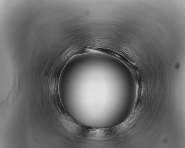 X0000096180140200801251225