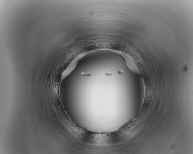 X0000096180141200801251225