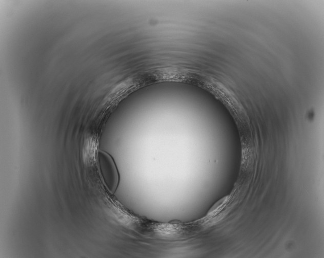 X0000096180142200801251225