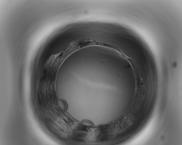 X0000096180143200801251225