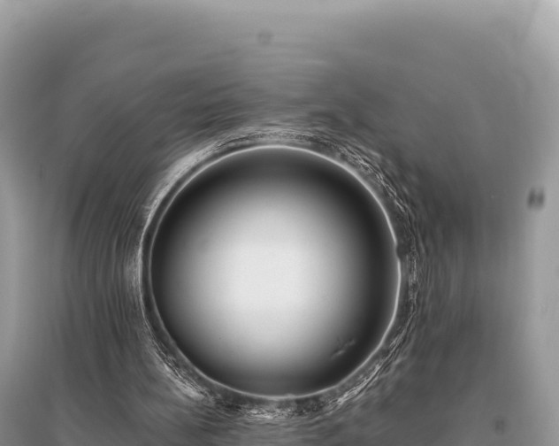 X0000096180148200801251224